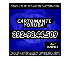 ❀(¯`*•.¸,¤°❀Cartomante YORUBA'❀°¤,¸.•*´¯)❀