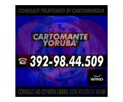 ❀(¯`*•.¸,¤°❀Cartomante YORUBA'❀°¤,¸.•*´¯)❀