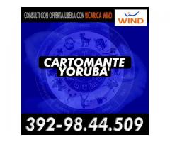 ❀(¯`*•.¸,¤°❀Cartomante YORUBA'❀°¤,¸.•*´¯)❀