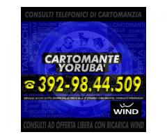 Studio.Di.Cartomanzia.Cartomante.Yoruba'