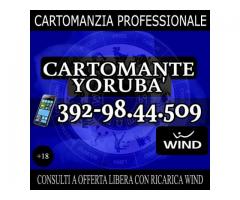 `'•.¸(¯`'•.¸* Cartomante Yoruba' *¸.•'´¯)¸.•' ´