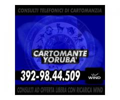 Yoruba'...il Cartomante