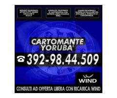 Yoruba'...il Cartomante