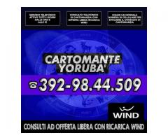 Yoruba'...il Cartomante