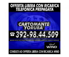 | 1 consulto telefonico di Cartomanzia con il Cartomante YORUBA' | Consulto con offerta libera |