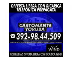 | 1 consulto telefonico di Cartomanzia con il Cartomante YORUBA' | Consulto con offerta libera |