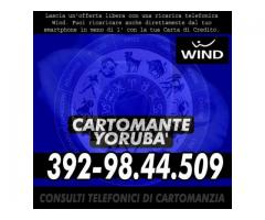 Consulto di Cartomanzia con offerta libera (ricarica telefonica WIND) - Cartomante Yoruba'