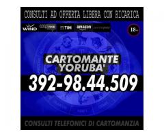 ▂ ▃ ▄ ▅ ▆ ▇ █ Cartomante Yorubà █ ▇ ▆ ▅ ▄ ▃ ▂