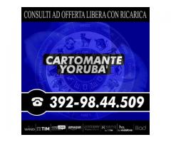 (_¸.•’´(_¸.•’´*♫♪♥(  CARTOMANTE YORUBA'  )♥♫♪*`’•.¸_)`’• .¸_)