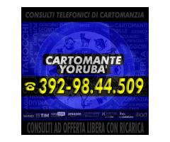 (_¸.•’´(_¸.•’´*♫♪♥(  CARTOMANTE YORUBA'  )♥♫♪*`’•.¸_)`’• .¸_)