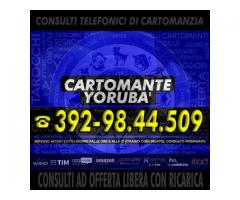 ____Cartomante Yoruba'____