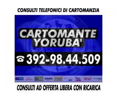 (_¸.•’´(_¸.•’´*♫♪♥(  CARTOMANTE YORUBA'  )♥♫♪*`’•.¸_)`’• .¸_)