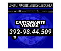 (_¸.•’´(_¸.•’´*♫♪♥(  CARTOMANTE YORUBA'  )♥♫♪*`’•.¸_)`’• .¸_)