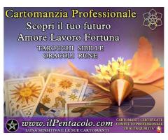 CONSULTO SERIO E PROFESSIONALE