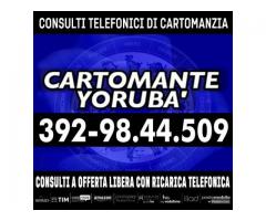 ✰*°°º•.•*°*•.㊛ CARTOMANTE YORUBA' ㊛.•*°*•.•º°°*✰