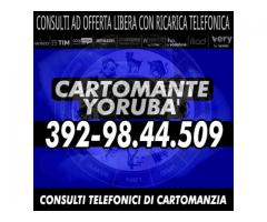 ✰*°°º•.•*°*•.㊛ CARTOMANTE YORUBA' ㊛.•*°*•.•º°°*✰